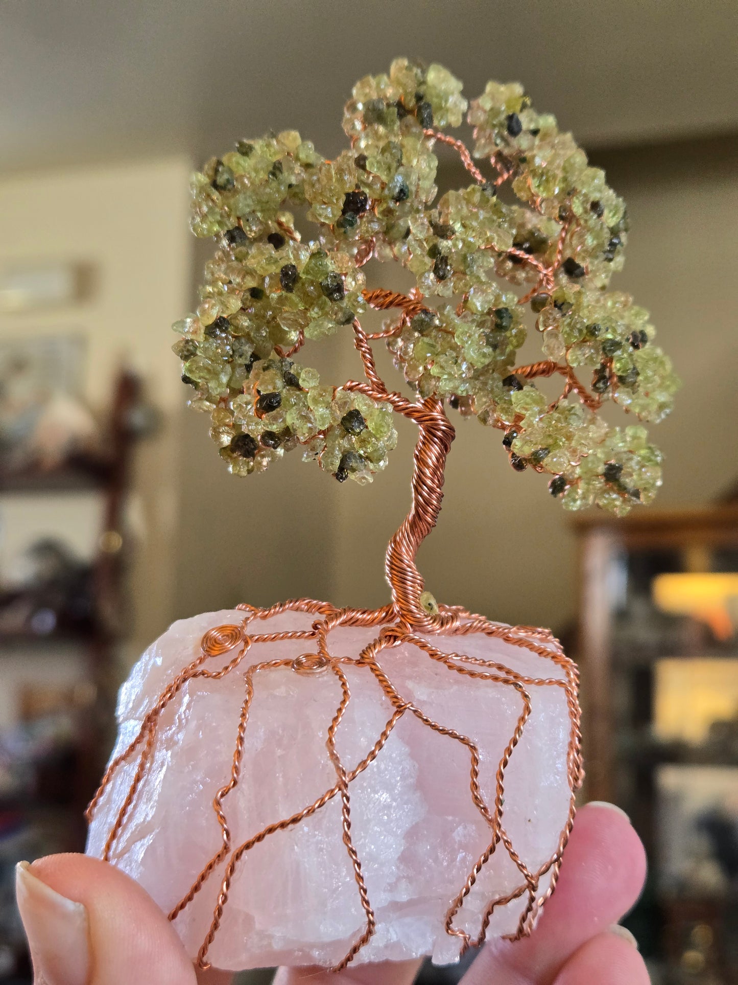 Tree of Life