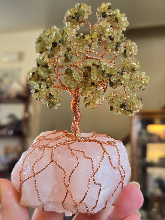 Tree of Life