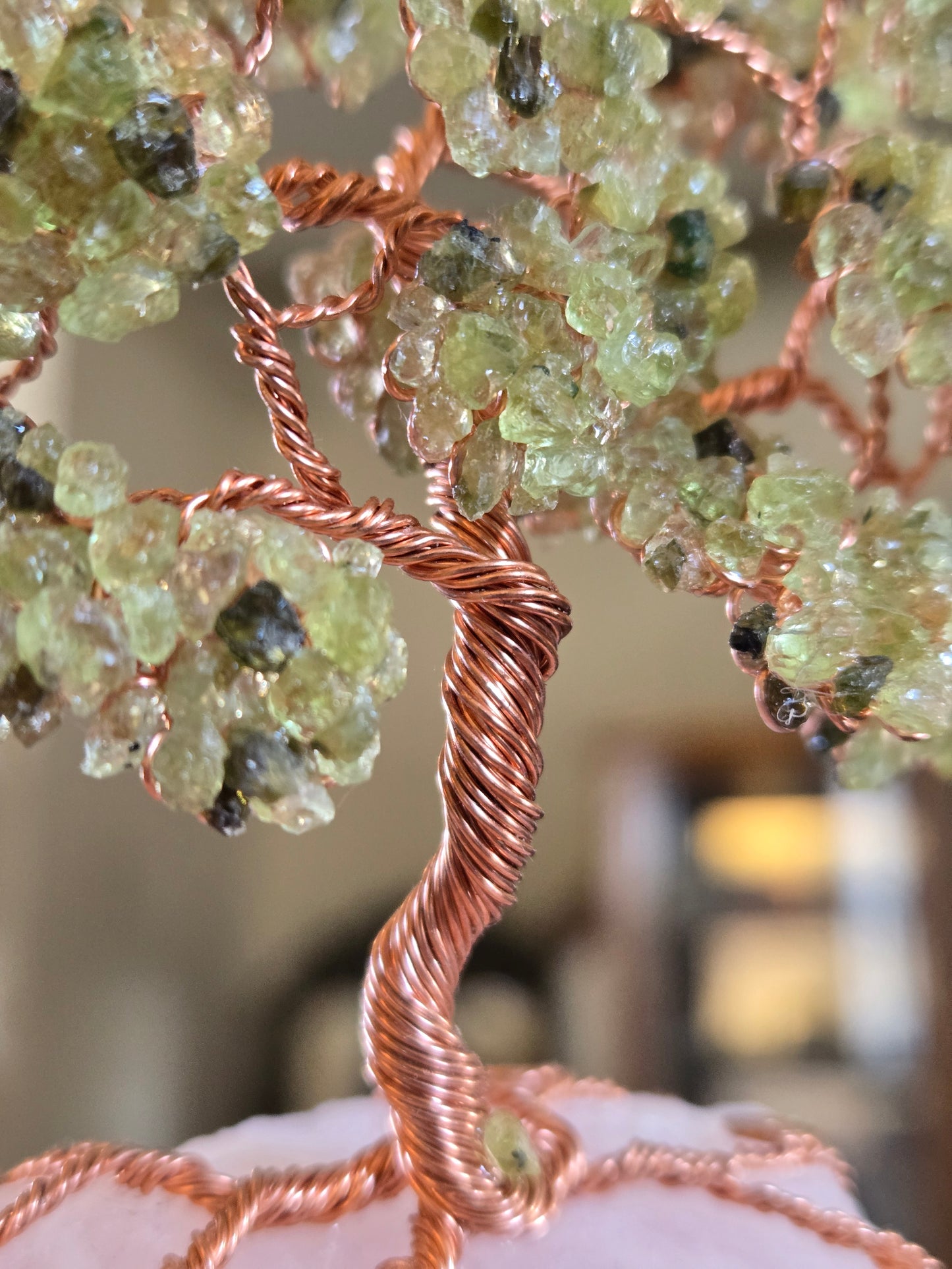 Tree of Life