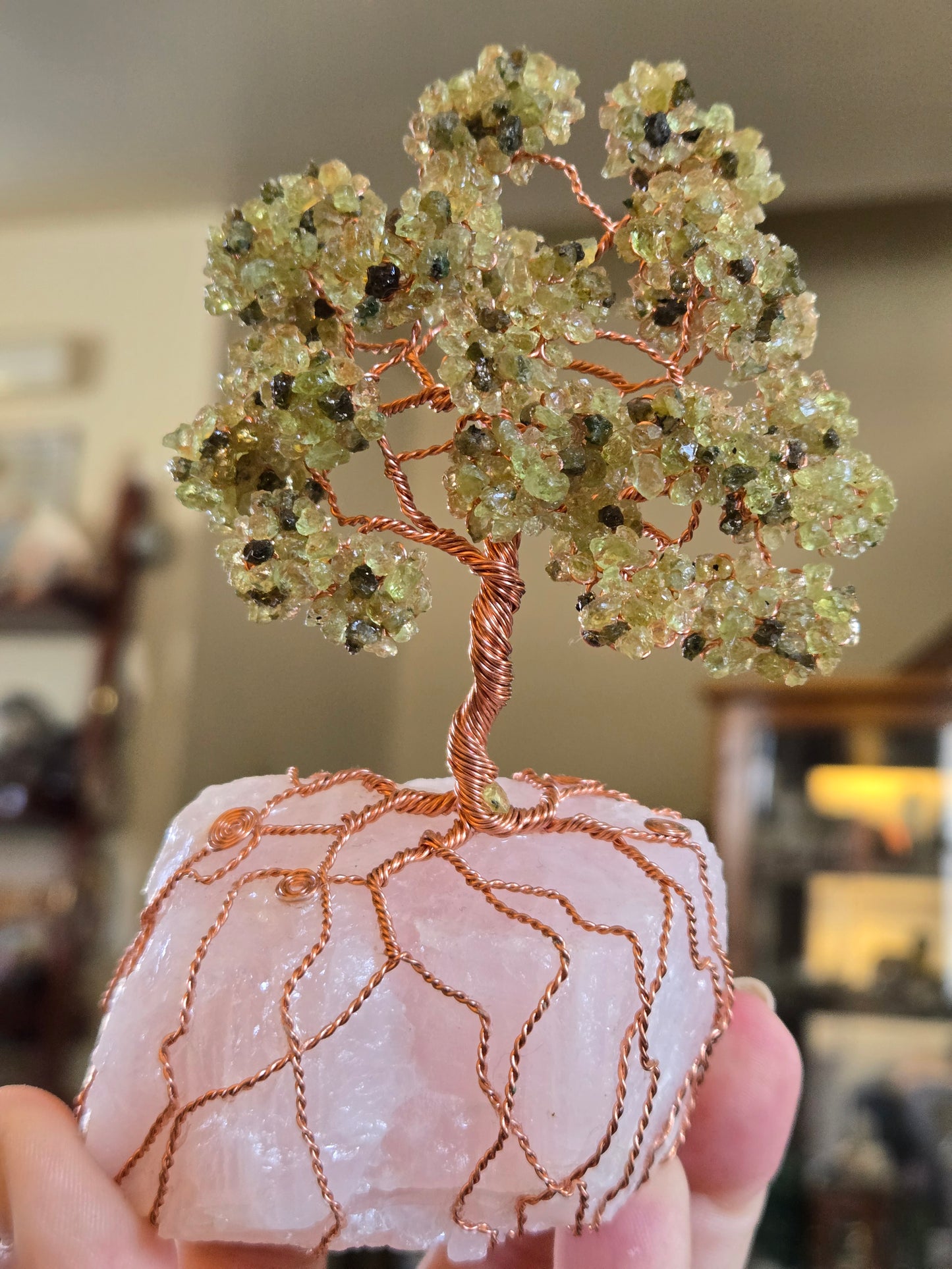 Tree of Life