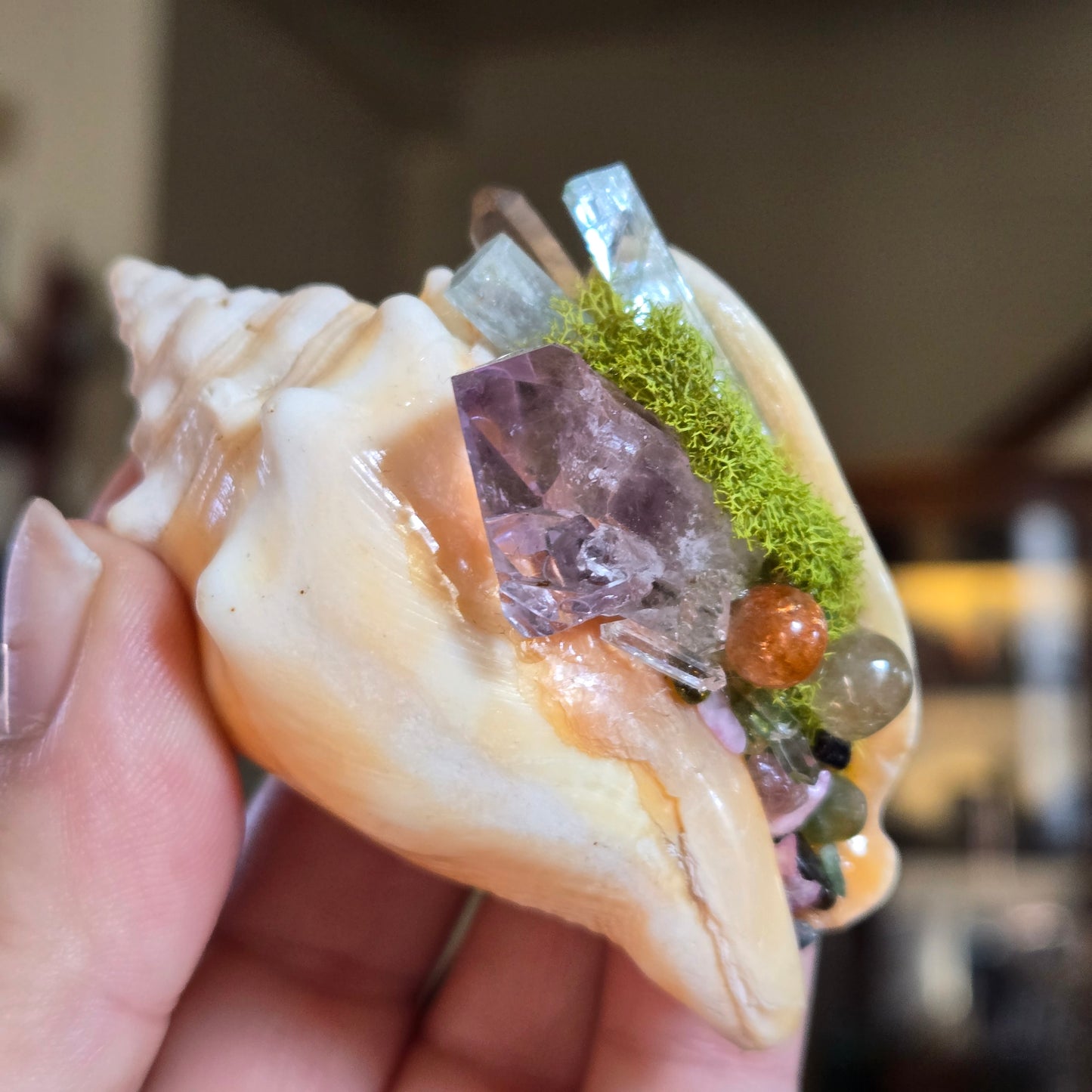 A Shell of a Time