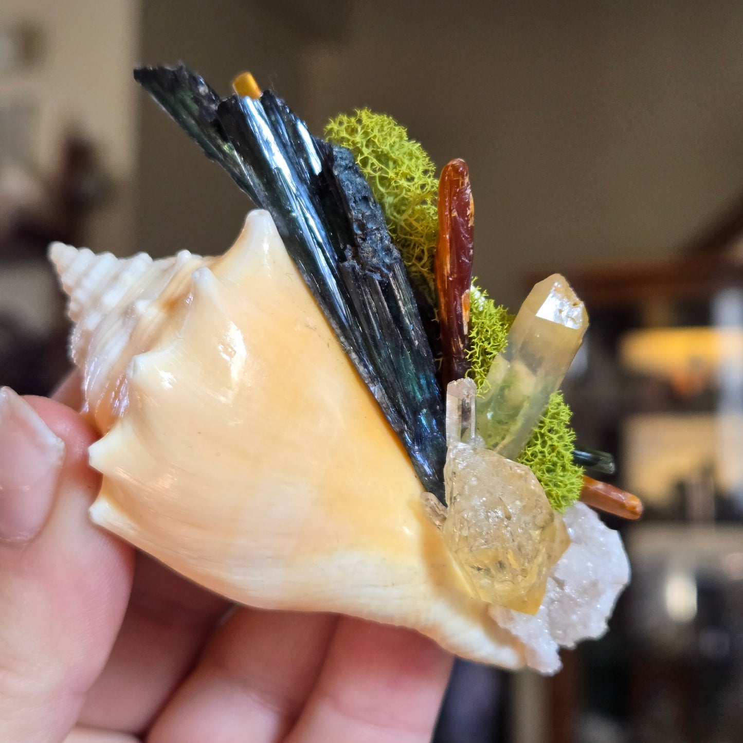 Tidal Treasure