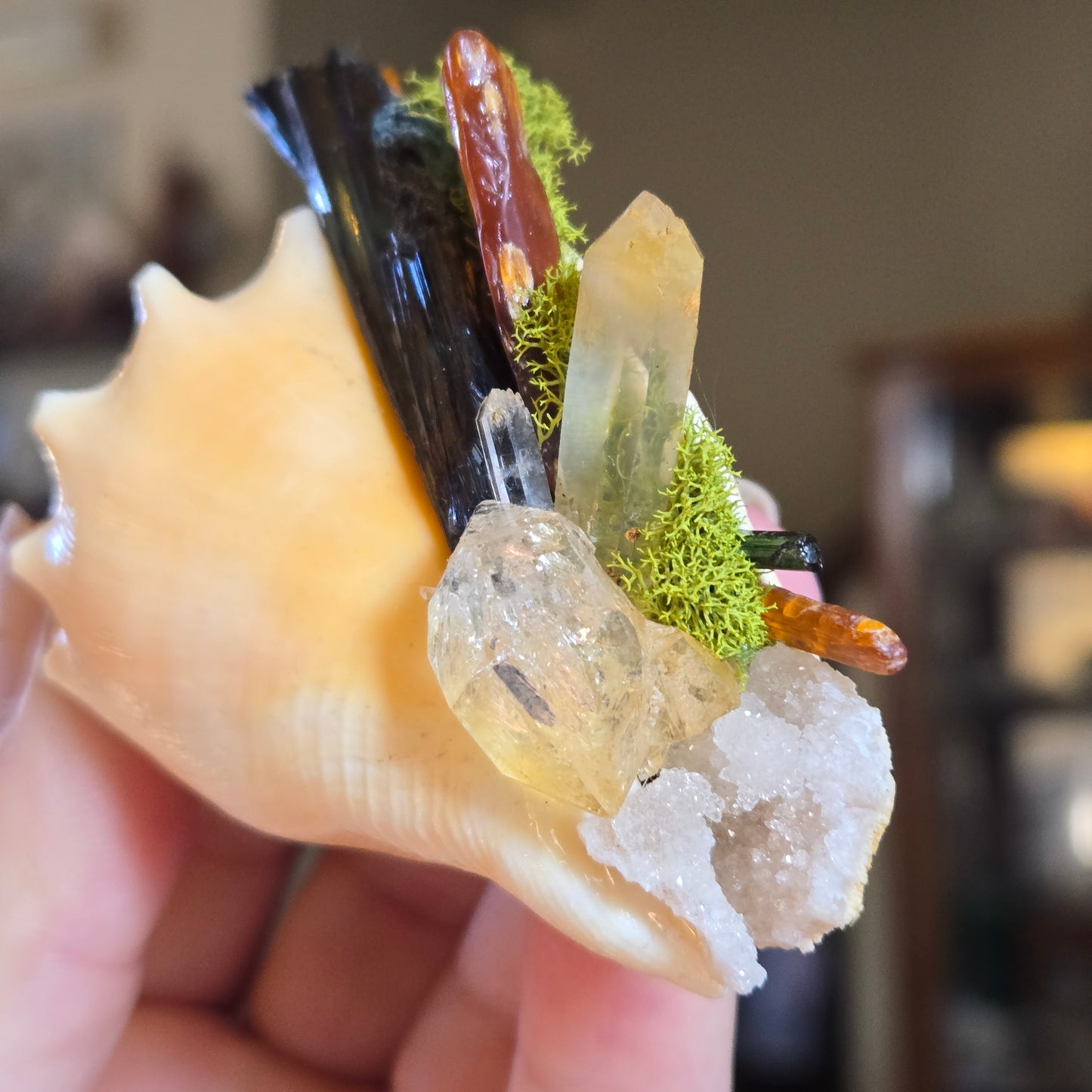 Tidal Treasure