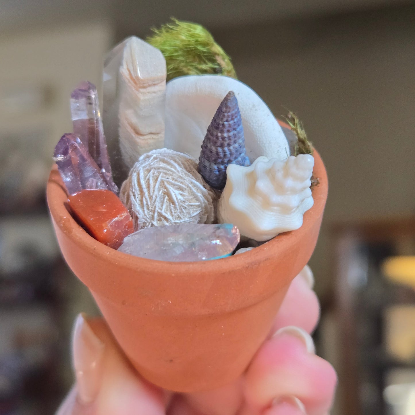 Potted Splendor