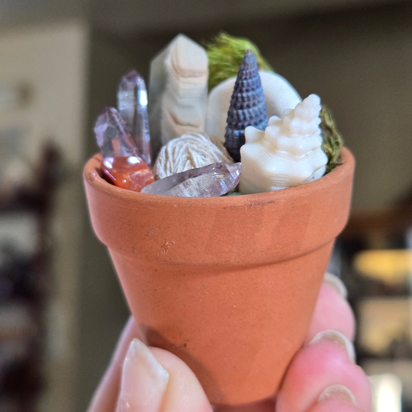 Potted Splendor