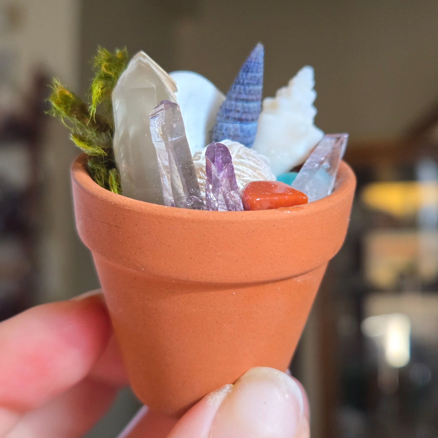 Potted Splendor