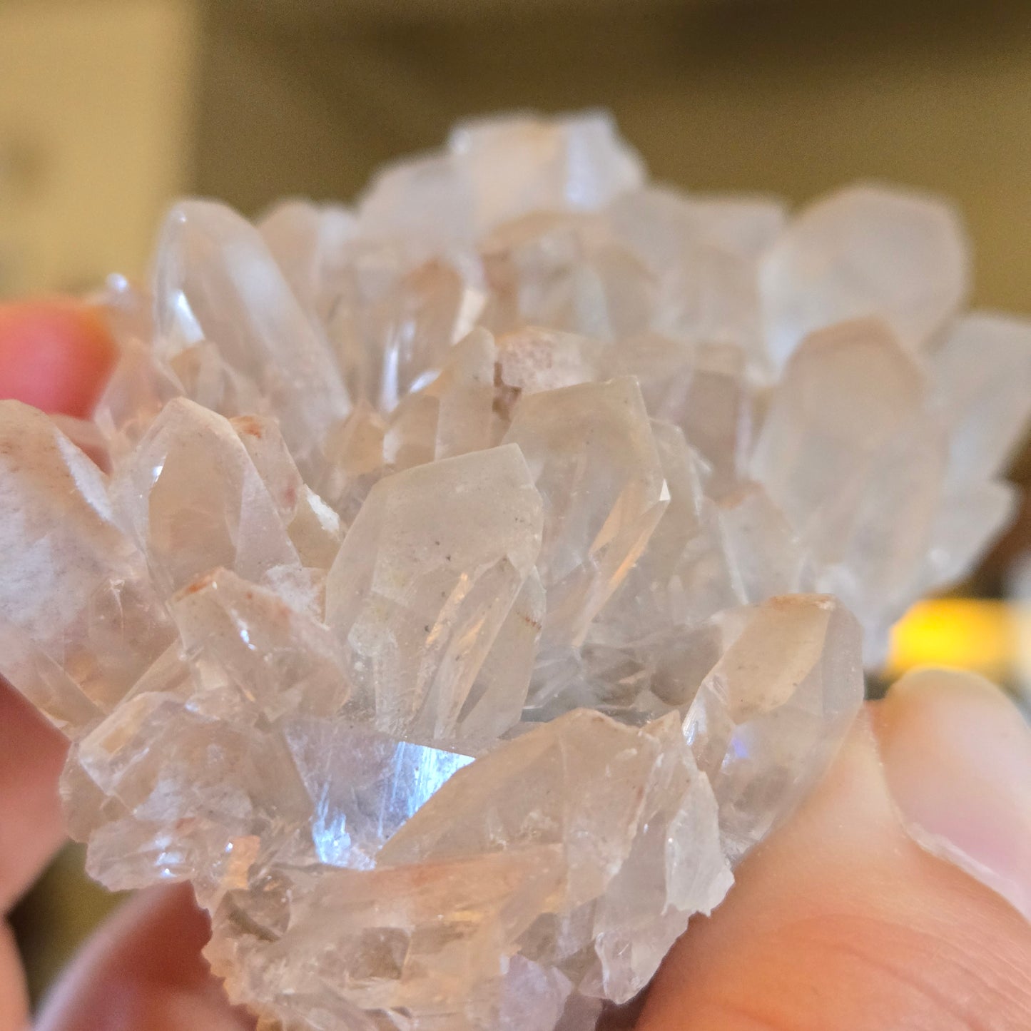 Brazilian Lodalite Quartz Cluster