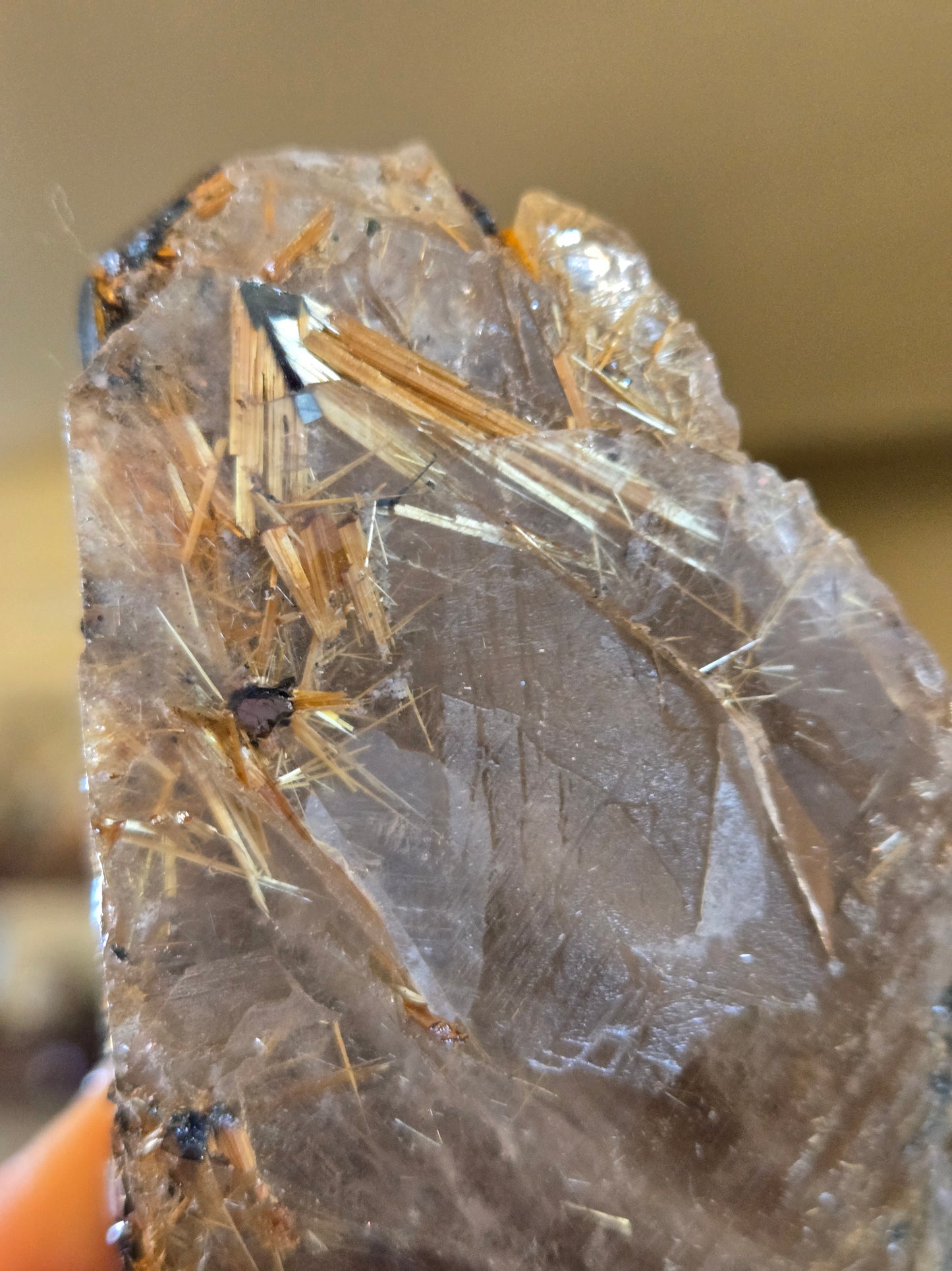Rutilated Smokey Quartz free form