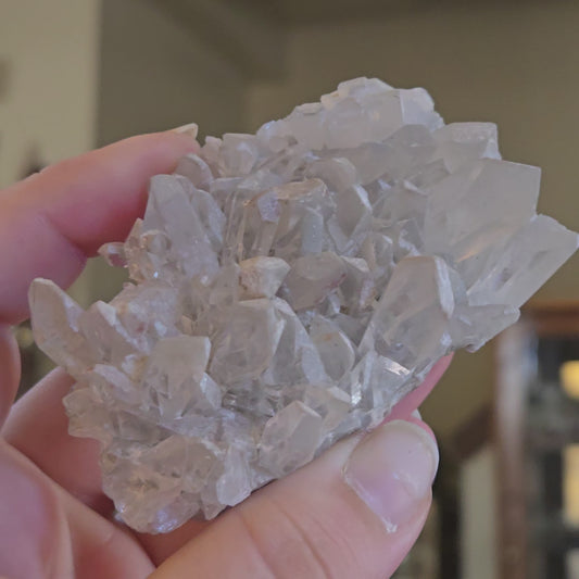 Brazilian Lodalite Quartz Cluster